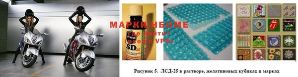 СК Верхний Тагил