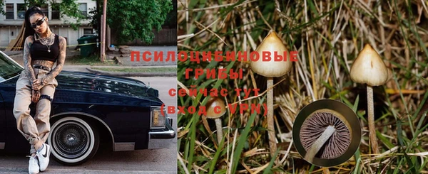 скорость Бородино