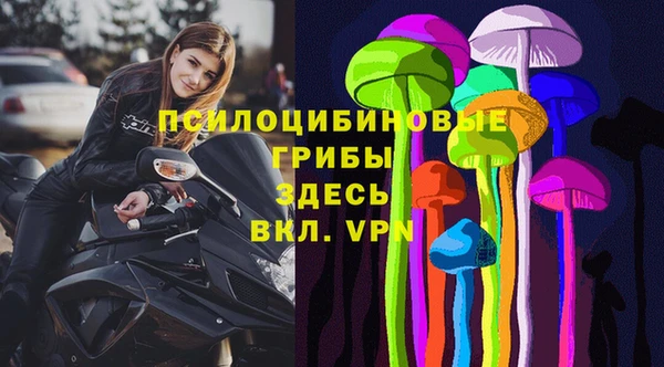 герыч Бронницы