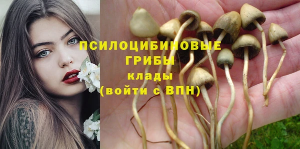 СК Верхний Тагил