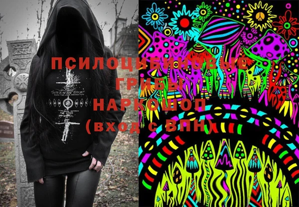 герыч Бронницы