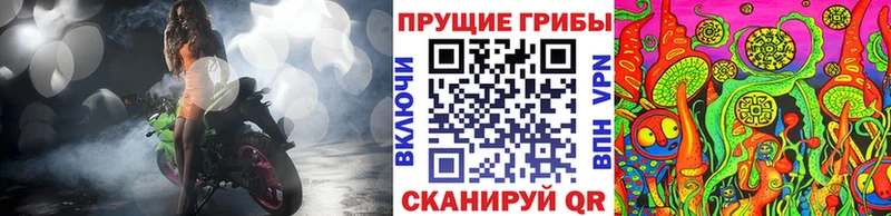 Галлюциногенные грибы MAGIC MUSHROOMS  где купить наркотик  Нижнекамск 